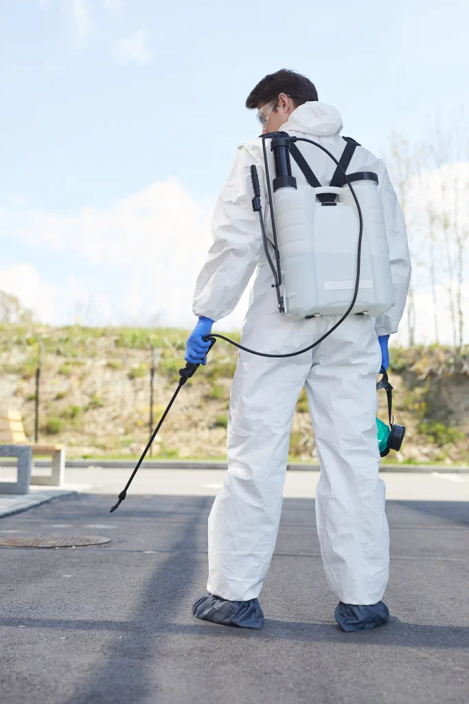 About Our Roof Spray Coating Services